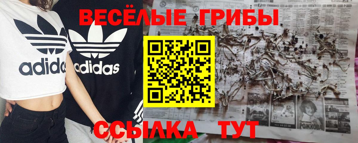 Галлюциногенные грибы MAGIC MUSHROOMS  Вход с VPN  Ростов Великий 